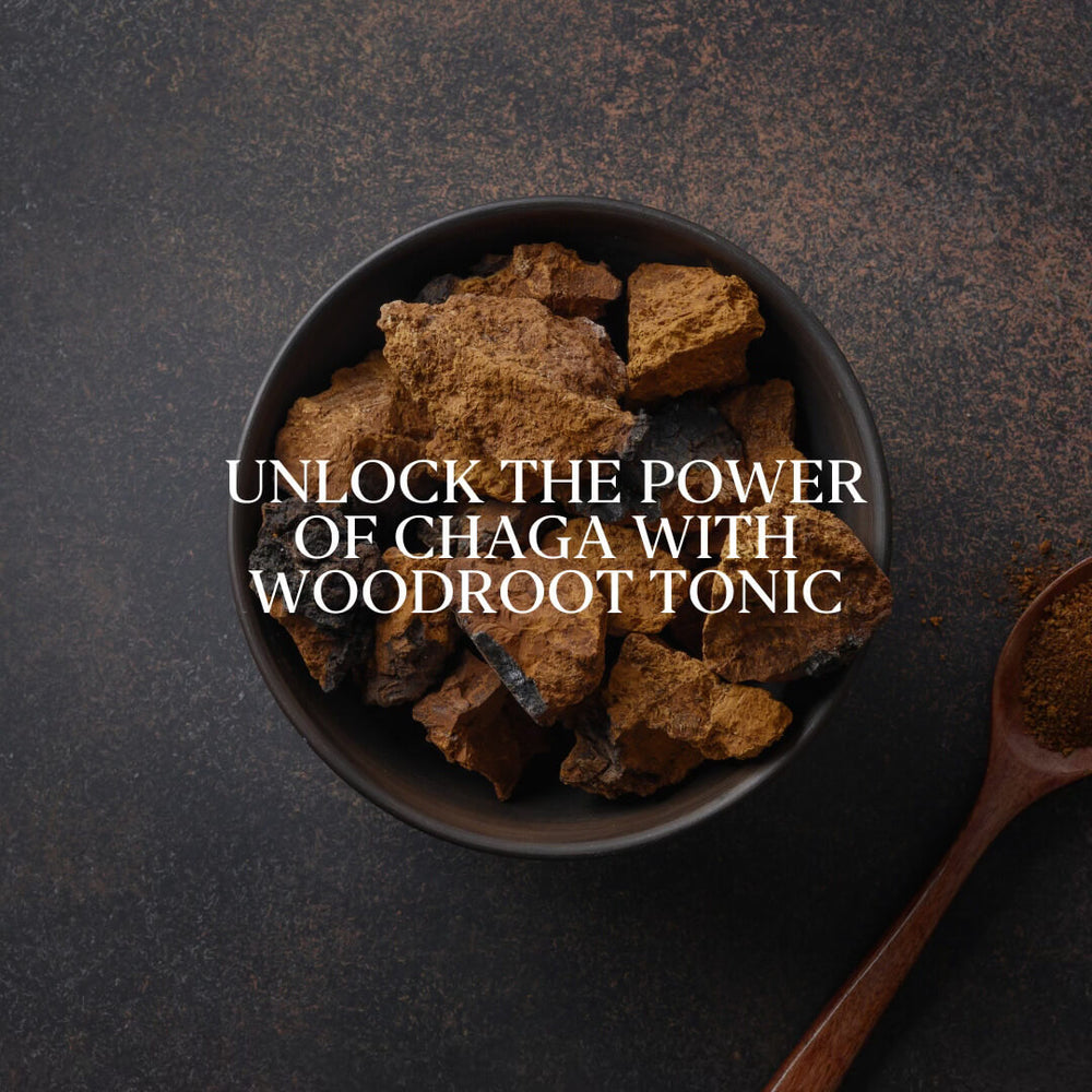Unlock the Power of Chaga with Woodroot Tonic