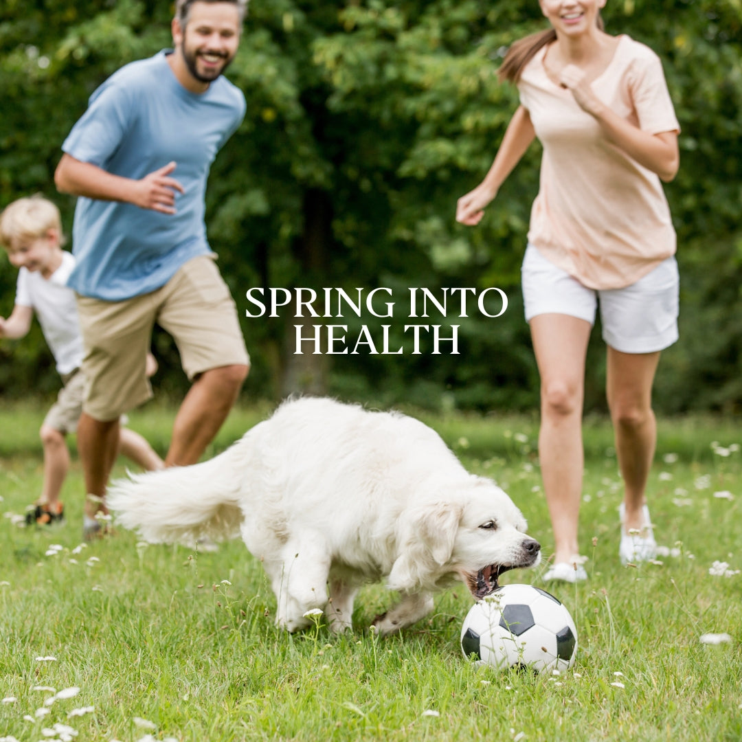 Spring Into Health