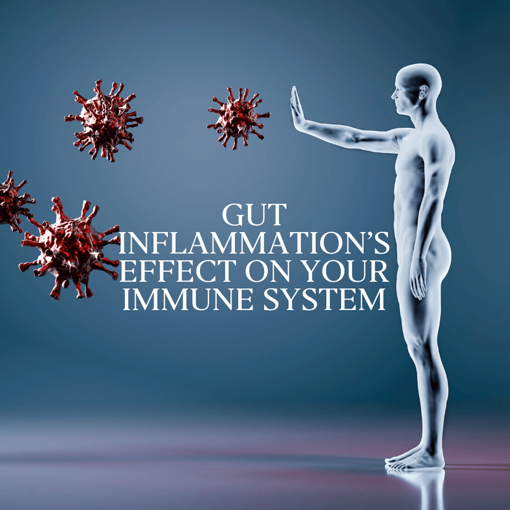 Gut Inflammation's Effect on Your Immune System