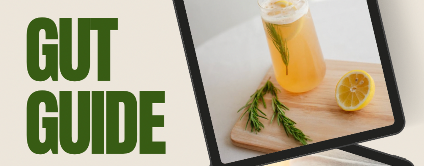 The Gut Guide: Simple Ways to Support Gut Health, Digestion & Absorption