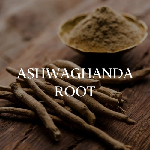 Ayurvedic herb ashwagandha added to Woodroot Tonic for its strong healing properties. 