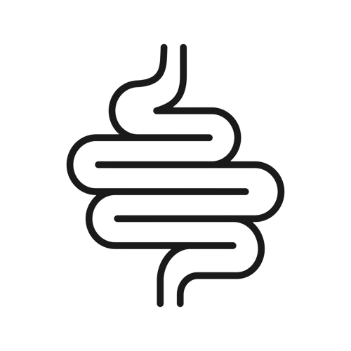 digestion icon.